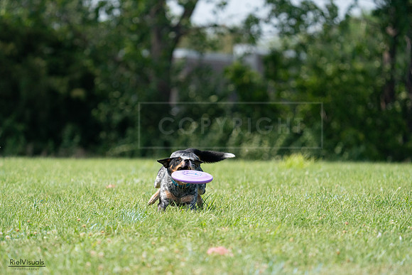 RielVisuals_20240728_145140_SJR09320