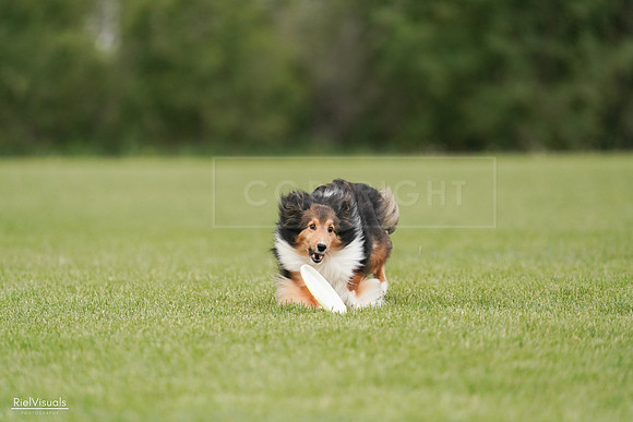 RielVisuals_20240527_140907_SJR01589