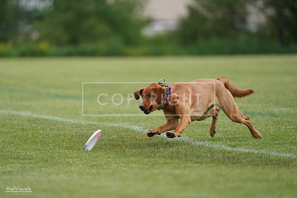 RielVisuals_20240525_160839_SJR03567