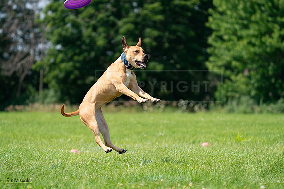 RielVisuals_20240728_114509_SJR01840