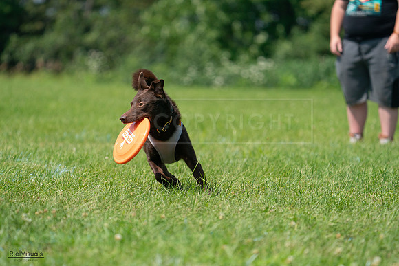 RielVisuals_20240728_114131_SJR01634
