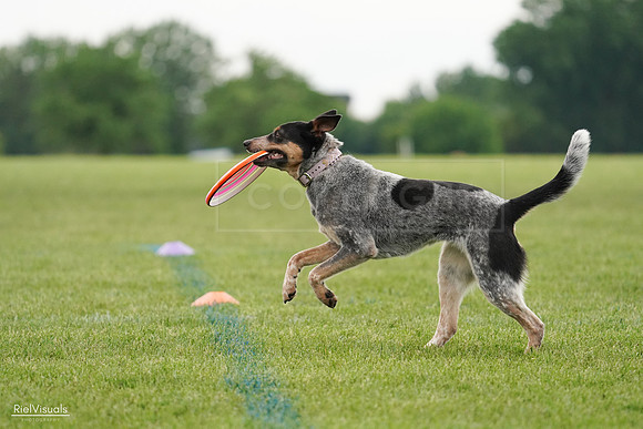 RielVisuals_20240527_120015_SJR04445