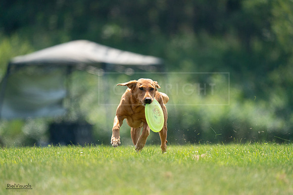 RielVisuals_20240727_122424_SJR05489
