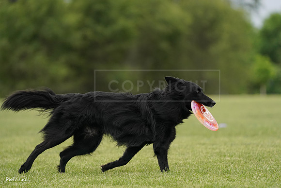 RielVisuals_20240526_133806_SJR08411