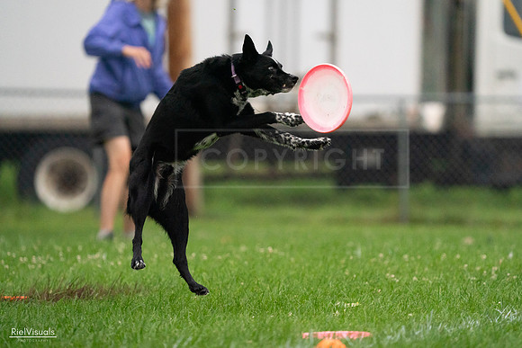 RielVisuals_20240722_193012_SJR01266