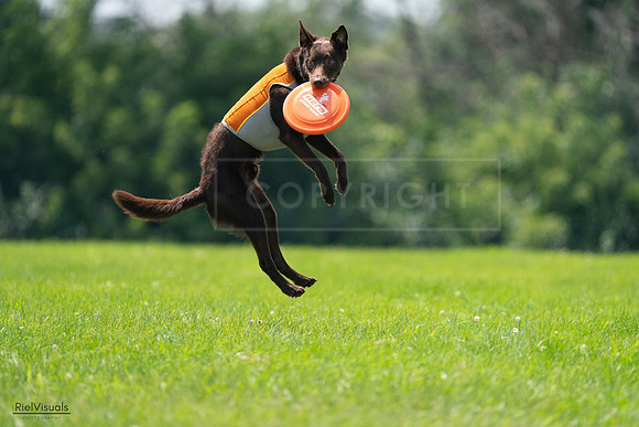 RielVisuals_20240728_130831_SJR05158