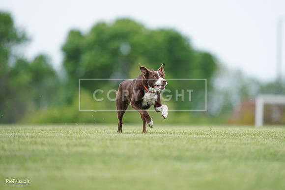 RielVisuals_20240525_162545_SJR04405