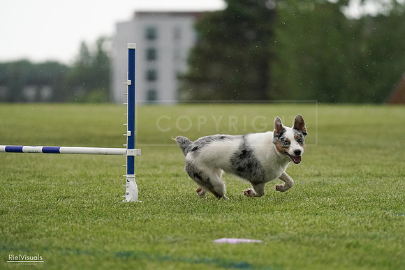 RielVisuals_20240526_092925_SJR00184