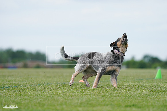 RielVisuals_20240525_125129_SJR01370