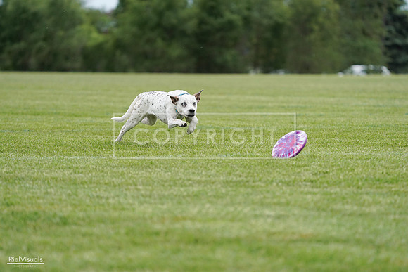 RielVisuals_20240525_160331_SJR03331