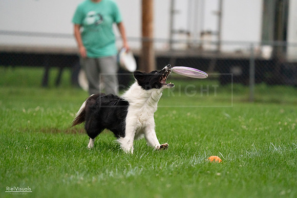 RielVisuals_20240722_194024_SJR01781