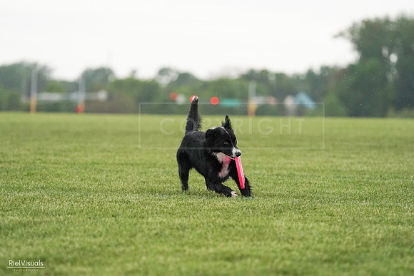 RielVisuals_20240526_095251_SJR01230