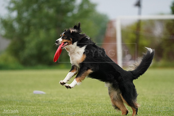 RielVisuals_20240526_131731_SJR07419