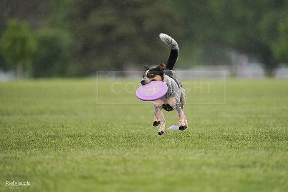 RielVisuals_20240526_094747_SJR01041