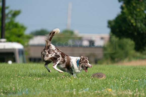 RielVisuals_20240727_092820_SJR06465