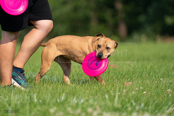 RielVisuals_20240727_093147_SJR06701