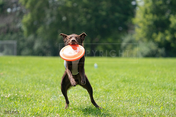 RielVisuals_20240728_130900_SJR05216