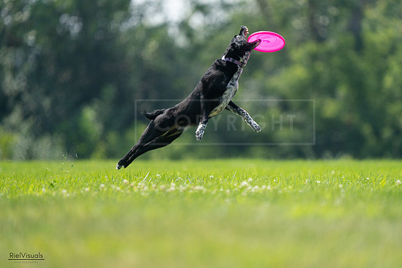 RielVisuals_20240727_125912_SJR06459