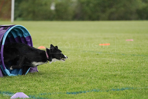 RielVisuals_20240526_095305_SJR01251