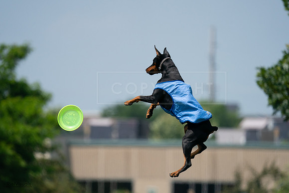 RielVisuals_20240728_134713_SJR07135