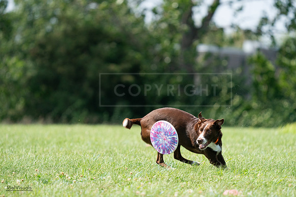 RielVisuals_20240728_144915_SJR09238