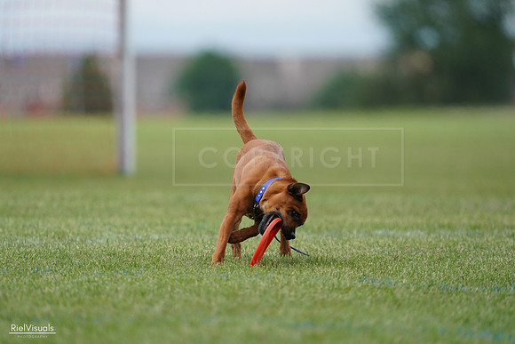 RielVisuals_20240527_142019_SJR02427
