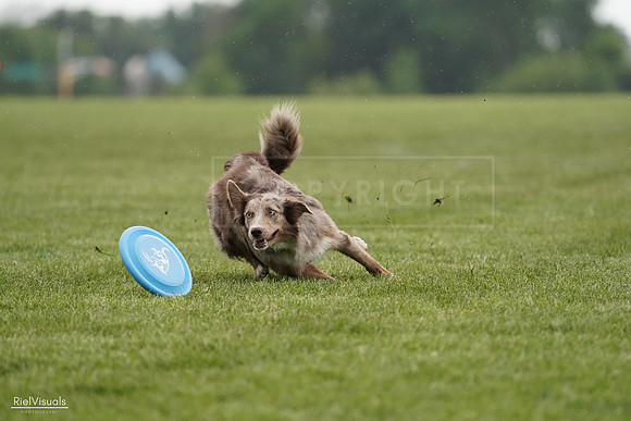 RielVisuals_20240526_092700_SJR00100