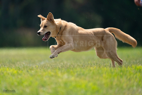 RielVisuals_20240727_120030_SJR04487