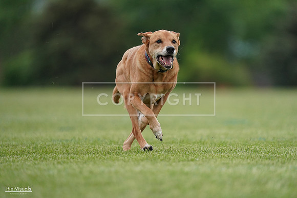 RielVisuals_20240525_161931_SJR04120