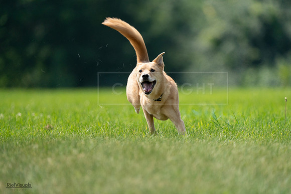 RielVisuals_20240727_120046_SJR04523
