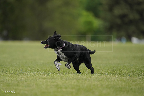 RielVisuals_20240526_132705_SJR07793
