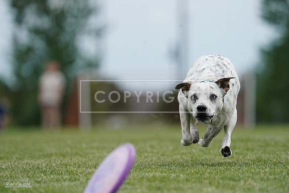 RielVisuals_20240525_160430_SJR03410