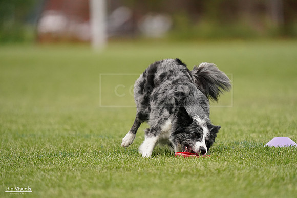 RielVisuals_20240526_133316_SJR08203