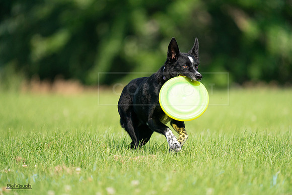 RielVisuals_20240727_094407_SJR07386