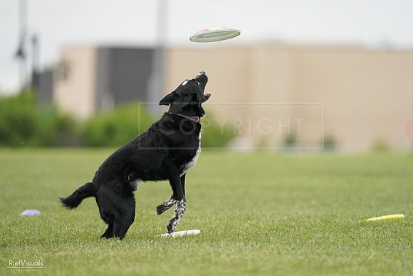 RielVisuals_20240526_132739_SJR07853