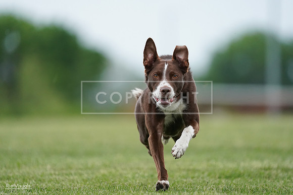 RielVisuals_20240525_162547_SJR04433