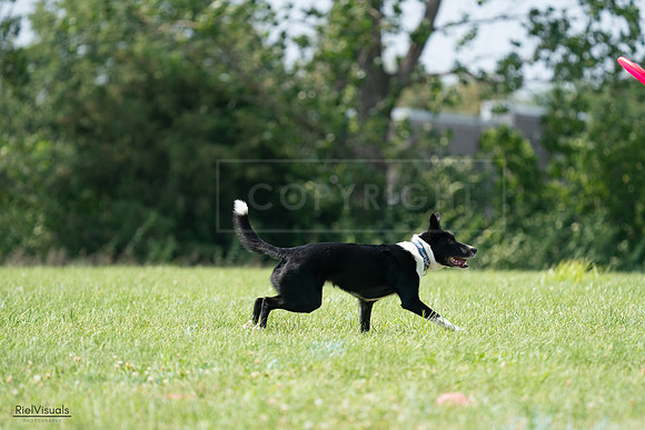 RielVisuals_20240728_144027_SJR08860