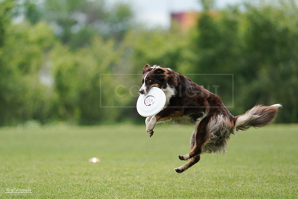 RielVisuals_20240527_135859_SJR01070