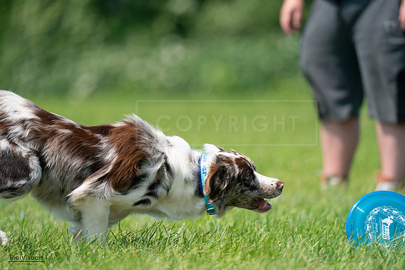 RielVisuals_20240728_114343_SJR01776
