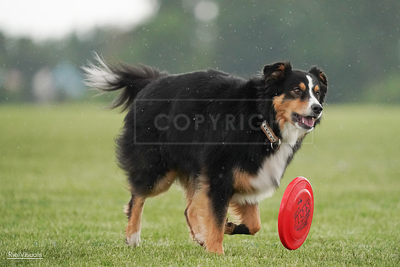 RielVisuals_20240526_094616_SJR00991