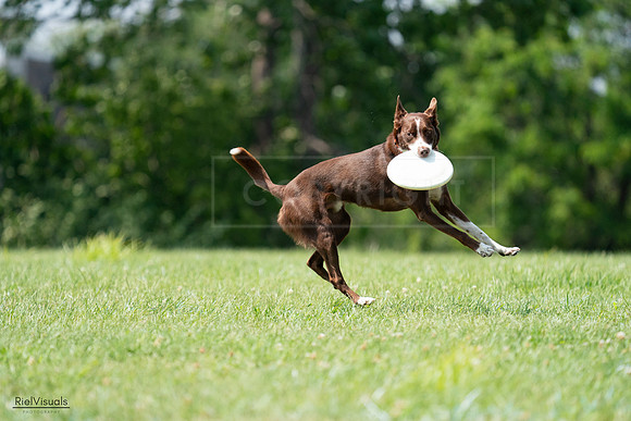 RielVisuals_20240728_144932_SJR09269