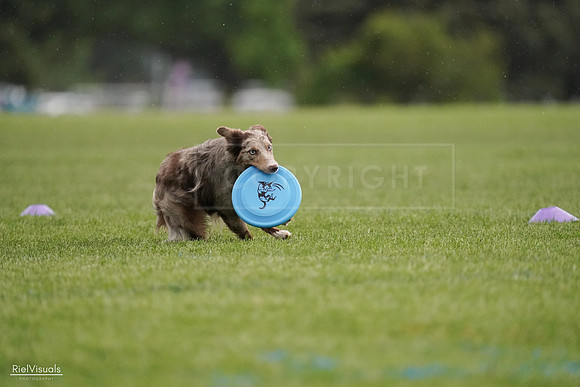 RielVisuals_20240526_092618_SJR00034