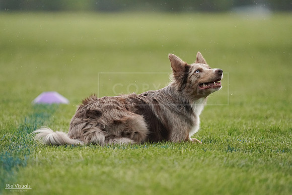 RielVisuals_20240526_092539_SJR09968