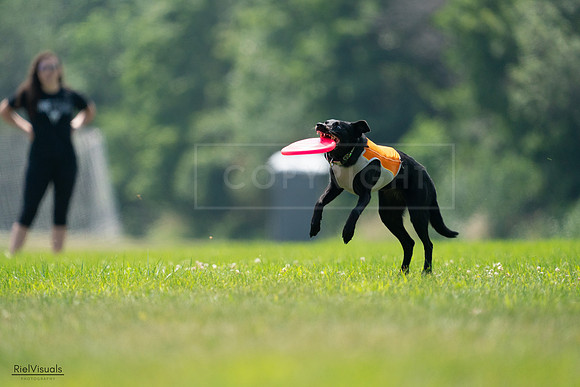 RielVisuals_20240727_130541_SJR06839