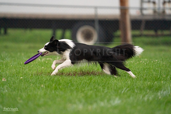 RielVisuals_20240722_194539_SJR02101
