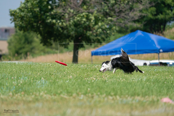 RielVisuals_20240727_124850_SJR06159
