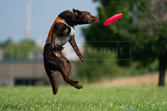 RielVisuals_20240727_092531_SJR06325