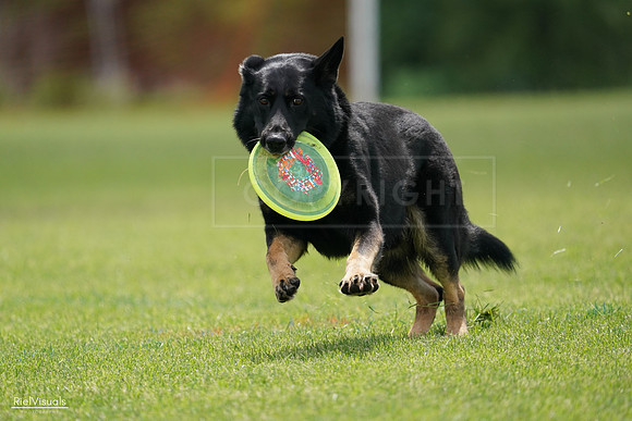 RielVisuals_20240527_141249_SJR01995
