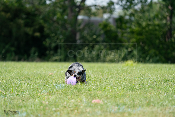 RielVisuals_20240728_145140_SJR09322