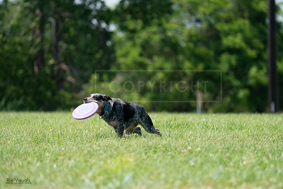 RielVisuals_20240728_145227_SJR09450
